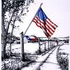 TEXAS PRIDE
11: x 14" pen and ink, watercolor on paper. A commissioned drawing reflecting Texas patriotism. As you travel the country roads every farm displays the American Flag adding the red, white and blue to the Texas landscape.