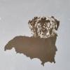 I base coated the canvas with a blue gray mixed with gesso. Then added a paynes gray underpainting of the dog's body and sketched the features in white. 