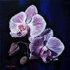 Orchids II, 12"x12" acrylic on canvas, SOLD