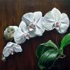 PHALEANOPSIS, 30"x40" acrylic on canvas. White orchids sometimes called moon orchids. SOLD