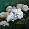 PHALEANOPSIS ON GREEN, 30"X40" acrylic on canvas, SOLD