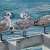 PIER GULLS, 12"X24" oil on canvas, framed. PRICE: $554. These four gulls were sitting on the railing at the Rod & Reel Pier on Anna Maria Island. (This railing no longer exists since it was blown down during a storm.) I think the actual name of this painting should be JUST LOOKING AT MY FOOT.  
