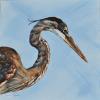 Great Blue IV, 12" x 12" acrylic on gallery wrapped canvas.
This Great Blue heron is hunting for a meal on the shore of Anna Maria Island. SOLD
